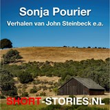 Verhalen van John Steinbeck e.a. - John Steinbeck ; Michael Innes ; Patricia Highsmith ; Pauline C. Smith ; Robert Bloch ; Ray Bradbury ; Richard  Matheson ; Robert Sheckley ; John Collier ; Joyce Porter ; June Thompson ; L.A.G. Strong ; Leslie Charteris ; M. Lermontov ; M.R. James ; Mavis - 9789464496932