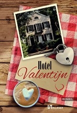 Hotel Valentijn - Eveline van Dienst ; Janneke Spijkerboer ; Monica Betist ; Marianne Sinke - 9789464498479