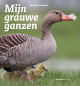 Mijn grauwe ganzen - Berend Voslamber - 9789464710816