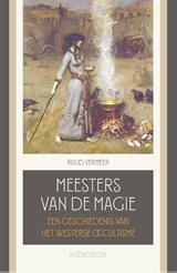 Meesters van de magie - Ruud Vermeer - 9789464712797