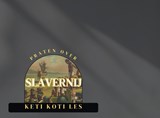 Praten over slavernij - Laucyna Bodaan - 9789464856064