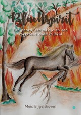 Blackspirit - Meis Eijgelshoven - 9789465445052