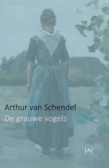 De grauwe vogels - Arthur van Schendel - 9789491618970
