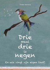 Drie maal drie is negen - Tineke Veenstra - 9789492723970