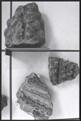 SCHAUBAUCH: Skulptur (Looking At Sculpture)  - Konrad, Aglaia - 9789492811028