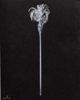 A Few Model Palm Trees - Bruno Roels - 9789493146082