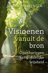 Visioenen vanuit de bron - Jaap Hiddinga - 9789493300828