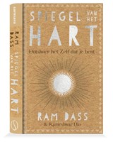 Spiegel van het hart - Ram Dass ; Rameshwar Das - 9789493301757