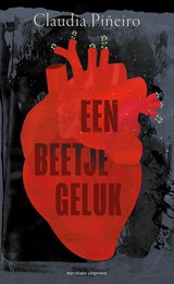 Een beetje geluk - Claudia Piñeiro - 9789493305236