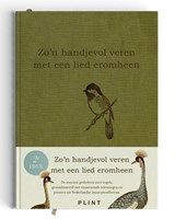Zo'n handjevol veren met een lied eromheen - Dichters - 9789493352728