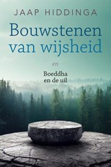 Bouwstenen van wijsheid - Jaap Hiddinga - 9789493358867