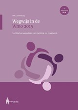 Wegwijs in de Wmo 2015 - Ingeborg Lunenburg - 9789493376342