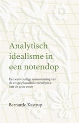 Analytisch idealisme in een notendop - Bernardo Kastrup - 9789493394377