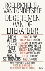 De geheimen van de literatuur - Roel Richelieu Van Londersele - 9789493443518
