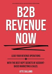 B2B Revenue NOW