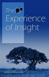 Experience of Insight - Joseph Goldstein - 9789552402777
