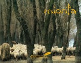 Miorita - HUSAR,  Alexandru - 9789739432047