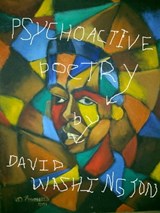 Psychoactive Poetry: Poetry Therapy Meditations on the Quest for Ultimate Meaning - David Washington - 9789769579248