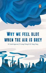 Why We Feel Blue When the Air Is Grey - Yang Yang - 9789815017861