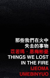 Things We Lost in the Fire