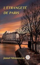 L'etrangete de Paris