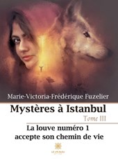 Mystères à Istanbul