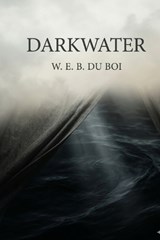 Darkwater - W E B Du Bois - 9791043134050