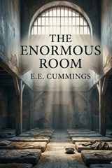 The Enormous Room - E E Cummings - 9791043137303