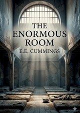 The Enormous Room - E E Cummings - 9791043144028