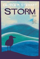 Storm - Don Carpenter - 9791255511175