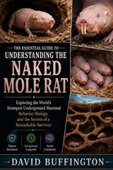 The Essential Guide to Understanding the Naked Mole Rat - David Buffington - 9798196330087