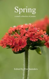 Spring - Tim Saunders - 9798196955877