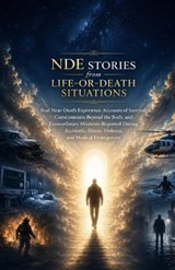 NDE Stories from Life-or-Death Situations - Ryan Taylor - 9798197633781