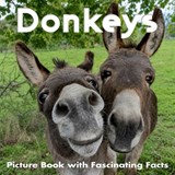 Donkeys Picture Book with Fascinating Facts - Picturesque Press - 9798197767745