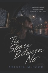 The Space Between No - Abigail Rose M-Cook - 9798197962102
