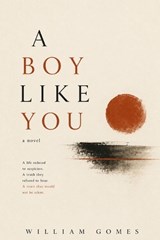 A Boy Like You - William Gomes - 9798199198615
