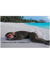 Caribbean Travel Guide - Explore the Caribbean Islands - Travelmagma - 9798215028186