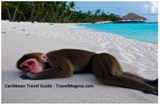 Caribbean Travel Guide - Explore the Caribbean Islands - TravelMagma - 9798215079850