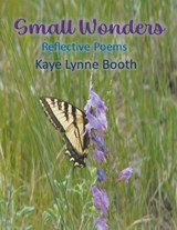 Small Wonders - Kaye Lynne Booth - 9798215456927