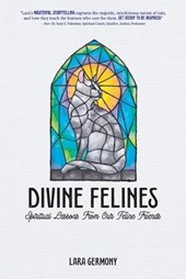 Divine Felines: Spiritual Lessons From Our Feline Friends