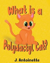 What is a Polydactyl Cat?