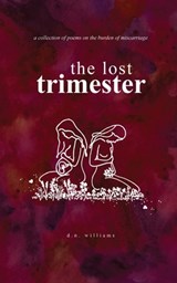 The Lost Trimester - Diamond Nicole Williams - 9798218343859