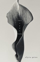 this soft body - Alysia Quinn - 9798218884451
