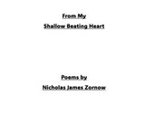 From My Shallow Beating Heart - Nicholas James Zornow - 9798224743131