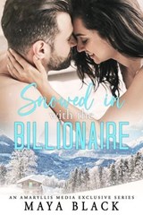 Snowed in with the Billionaire - Luna Storm - 9798227131195