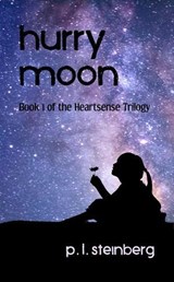 Hurry Moon - Paul Steinberg - 9798230817925