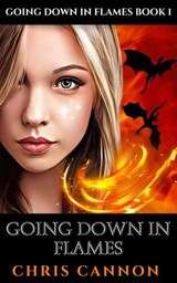 Going Down In Flames - Chris Cannon - 9798231616282
