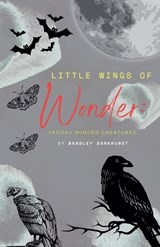 Little Wings of Wonder - Bradley Barkhurst - 9798231704422