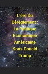 L'ère Du Dérèglement - La Petite Fleur Bleu - 9798232545666