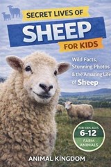 Secret Lives of Sheep for Kids - Animal Kingdom - 9798233022678